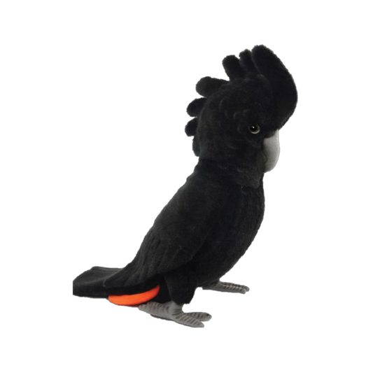 Black Cockatoo Hansa Plush