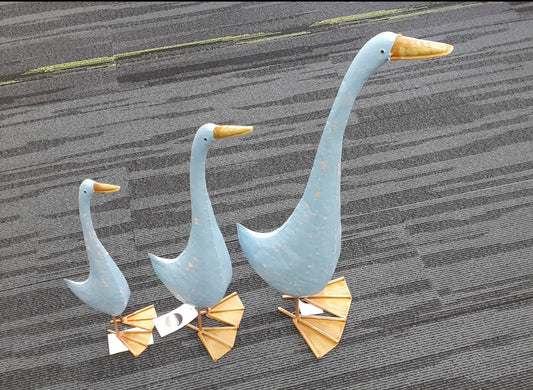 Duck Tall Blue Set 3