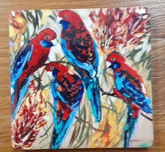 Crimson Rosellas Magnet