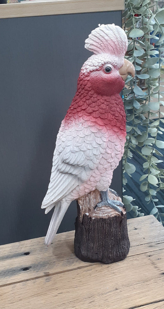 Galah on a Stump Resin