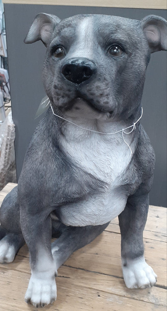 Resin Staffy Blue/Silver