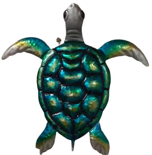 Sea Turtle