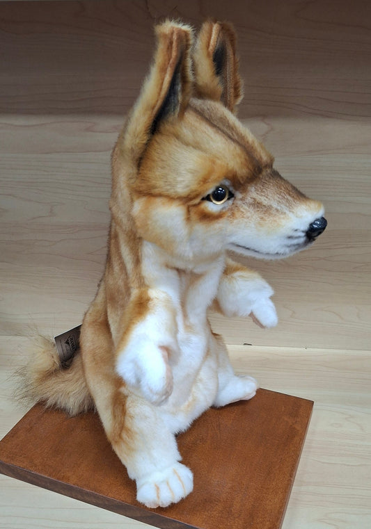 Dingo Puppet Hansa