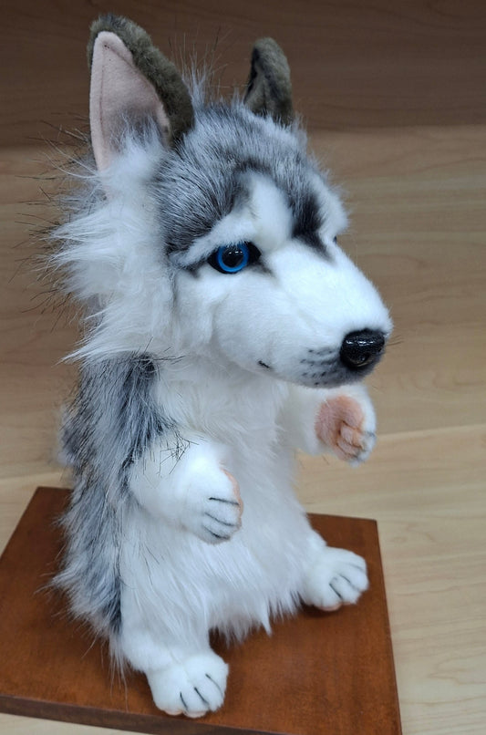 Husky Puppet Hansa
