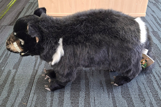 Tasmanian Devil Hansa lg