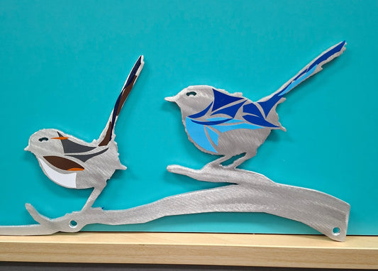 2 Blue Wrens on a Branch