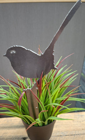 Plain Blue Wren Stakes Sm