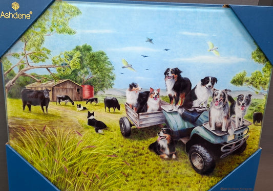 Working Dogs Quad Bike Surface Protector