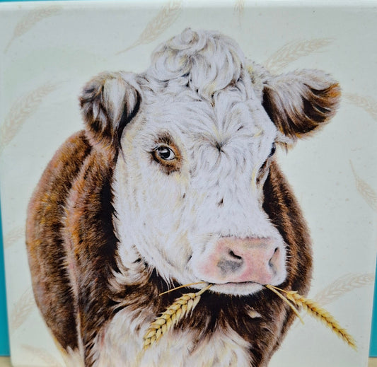 Coaster Single Farmyard Faces 2 Cow Ceramic