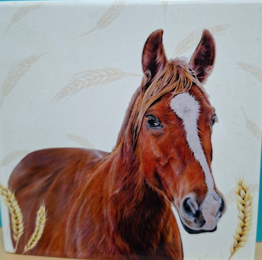 Coaster Single Farmyard Faces 2 Horse Ceramic