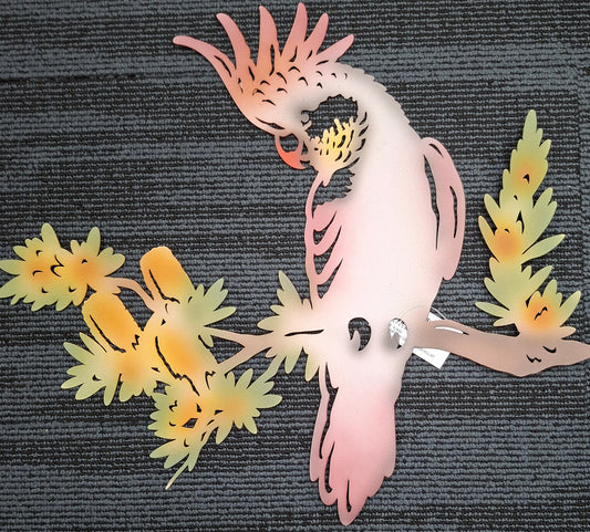Coloured Galah Wall Art