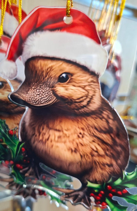 Acrylic Xmas Platypus