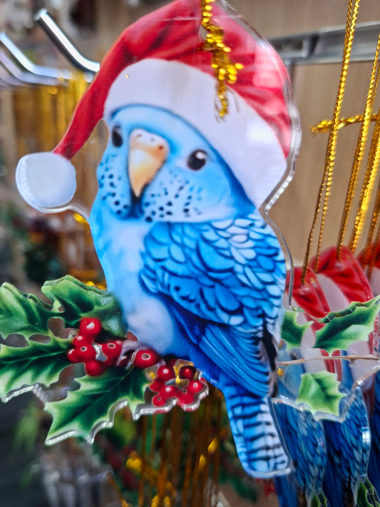 Acrylic Xmas Blue Budgie