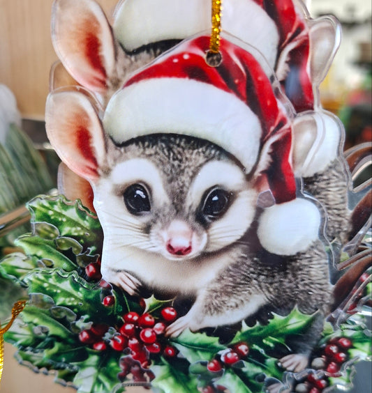 Acrylic Xmas Numbat