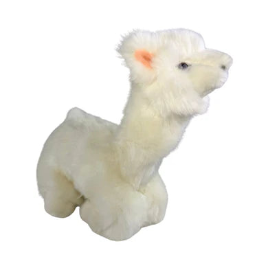 Alfredo Alpaca