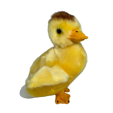 Duchess Duckling