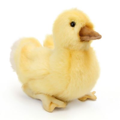 Duckling White Tailed Plush
