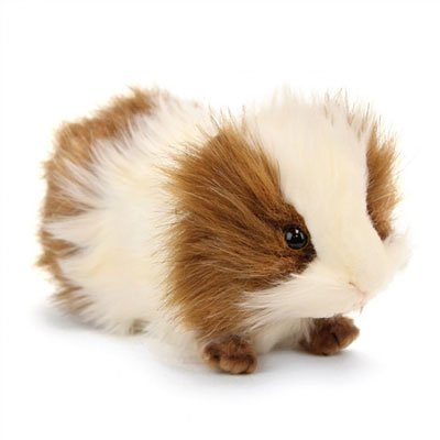 Guinea Pig Brown & White Plush