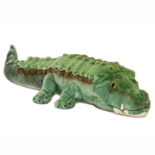 Cole Crocodile