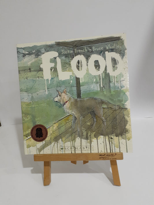 Flood Australian Children's Book