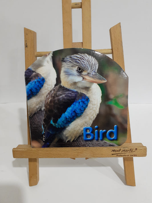 Bird - Board Book