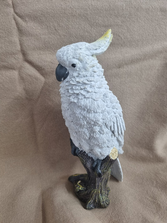 White Cockatoo on Stump