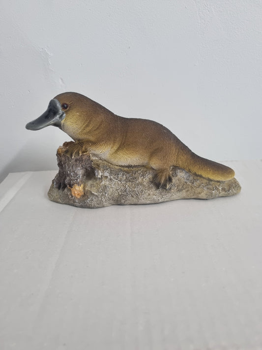 Platypus on a Rock - Resin