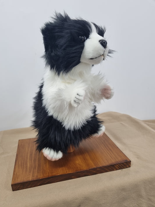 Border Collie Hansa Hand Puppet