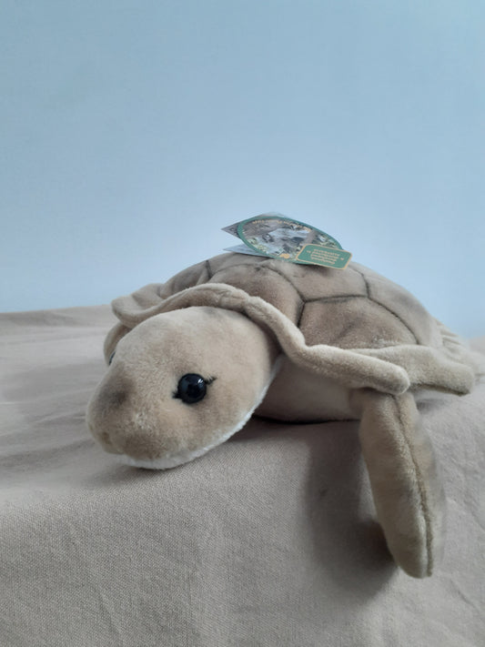 Doug Turtle Bocchetta