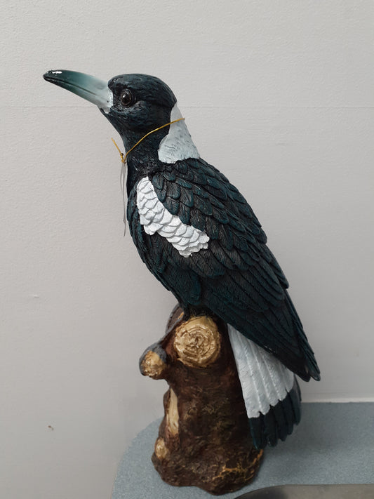 Magpie on a stump Medium