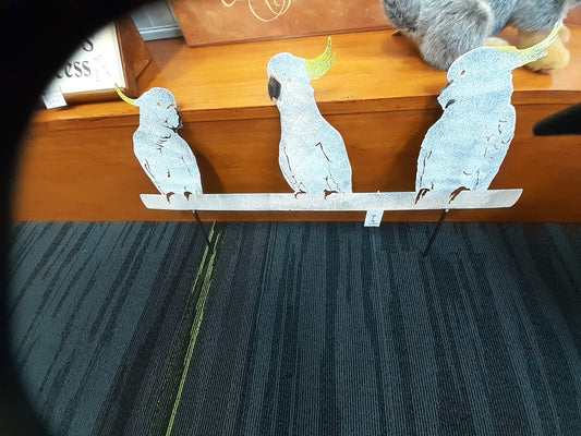 Cockatoo on Fence Metal Art