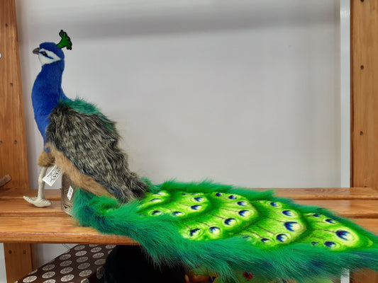 Peacock Plush Hansa