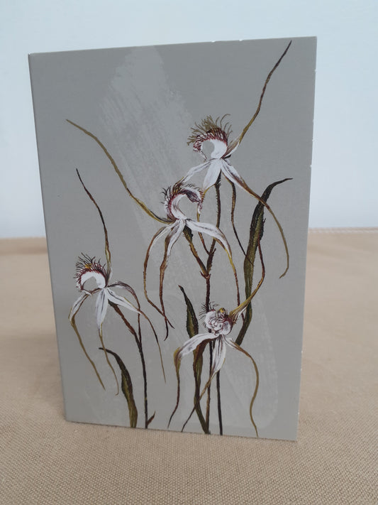 Notepad Spider Orchid