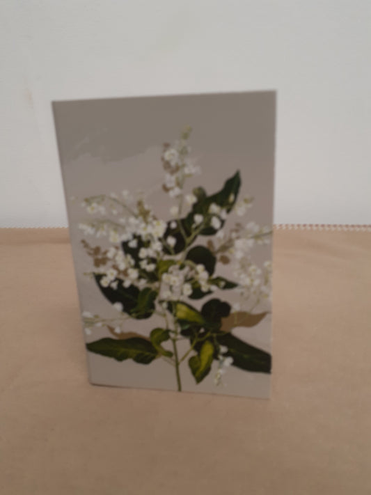 Notepad Hardenbergia Vase