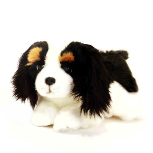 Alex Cavalier King Charles Spaniel