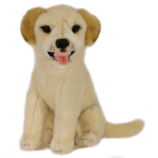 Duke