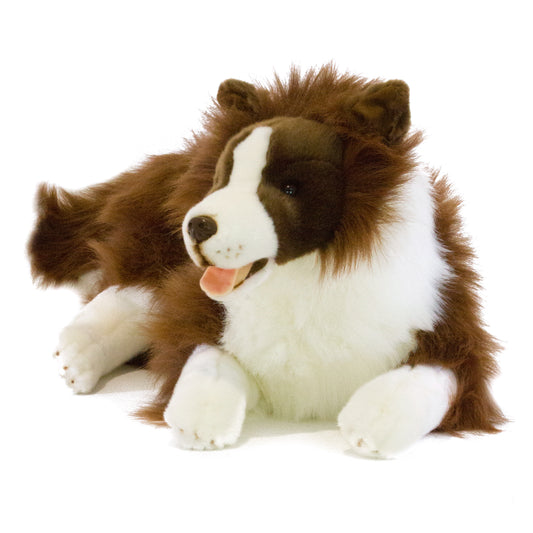 Fudge Border Collie Brown