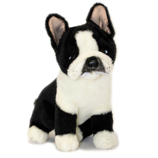 Pierre French Bulldog