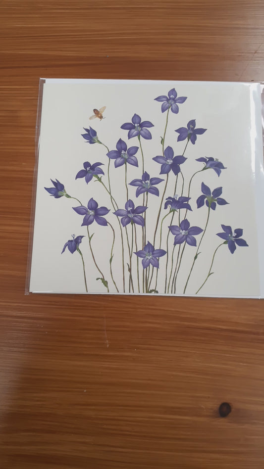 Card Royal Bluebell