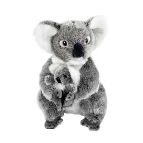 Willow Koala