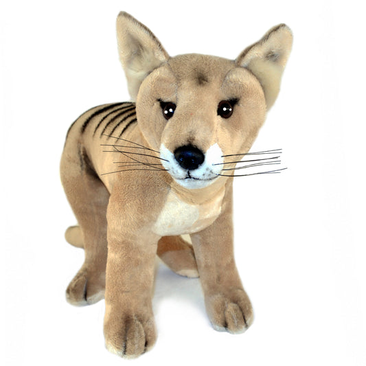 Sammy Tasmanian Tiger