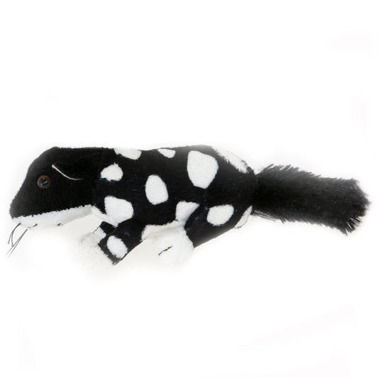 Black Quoll mini