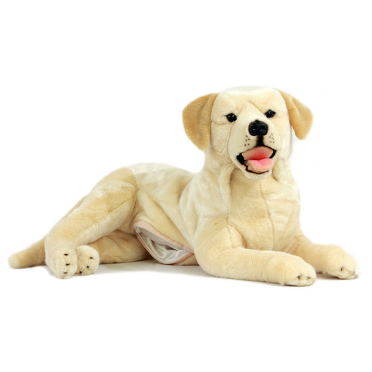 Bella Labrador Golden