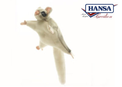 Sugar Glider Hansa