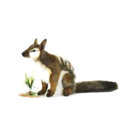 Numbat Plush Hansa