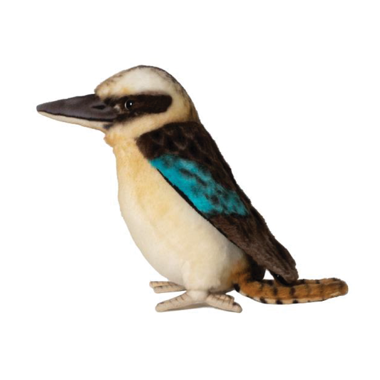 Kookaburra Blue Winged Hansa