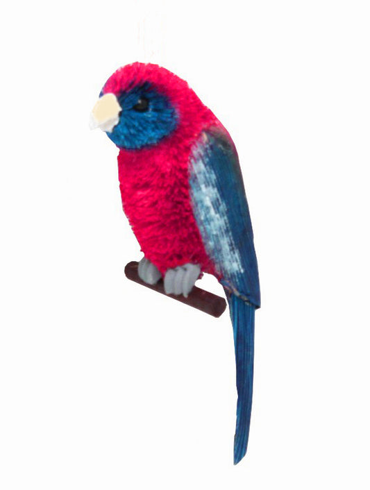 Crimson Rosella Hanging Plain