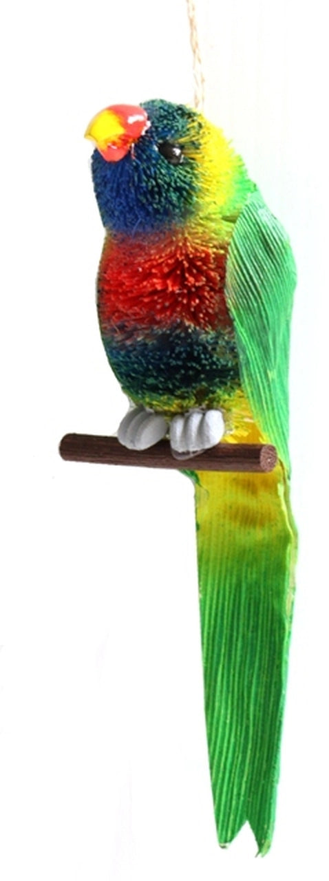 Lorikeet Hanging Plain